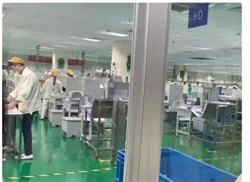 當醫(yī)學(xué)診斷“電子化” 護理學(xué)生被送電子廠的荒誕教育困局